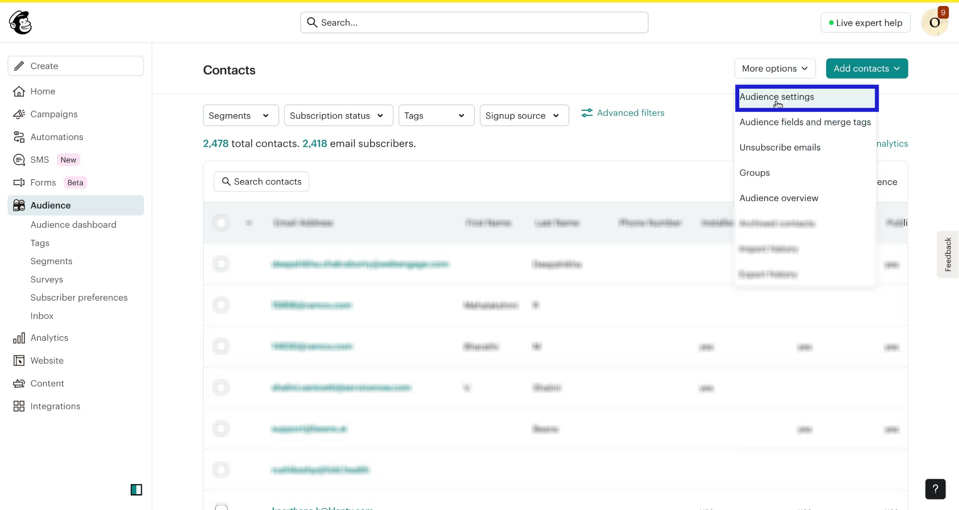 Screenshot of how to create new audience in Mailchimp step 2
