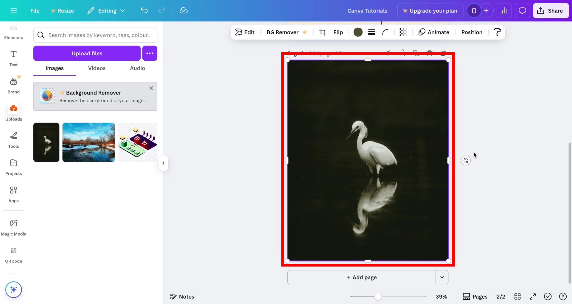 Screenshot of how to use Canva's HEIC to JPG converter step 3