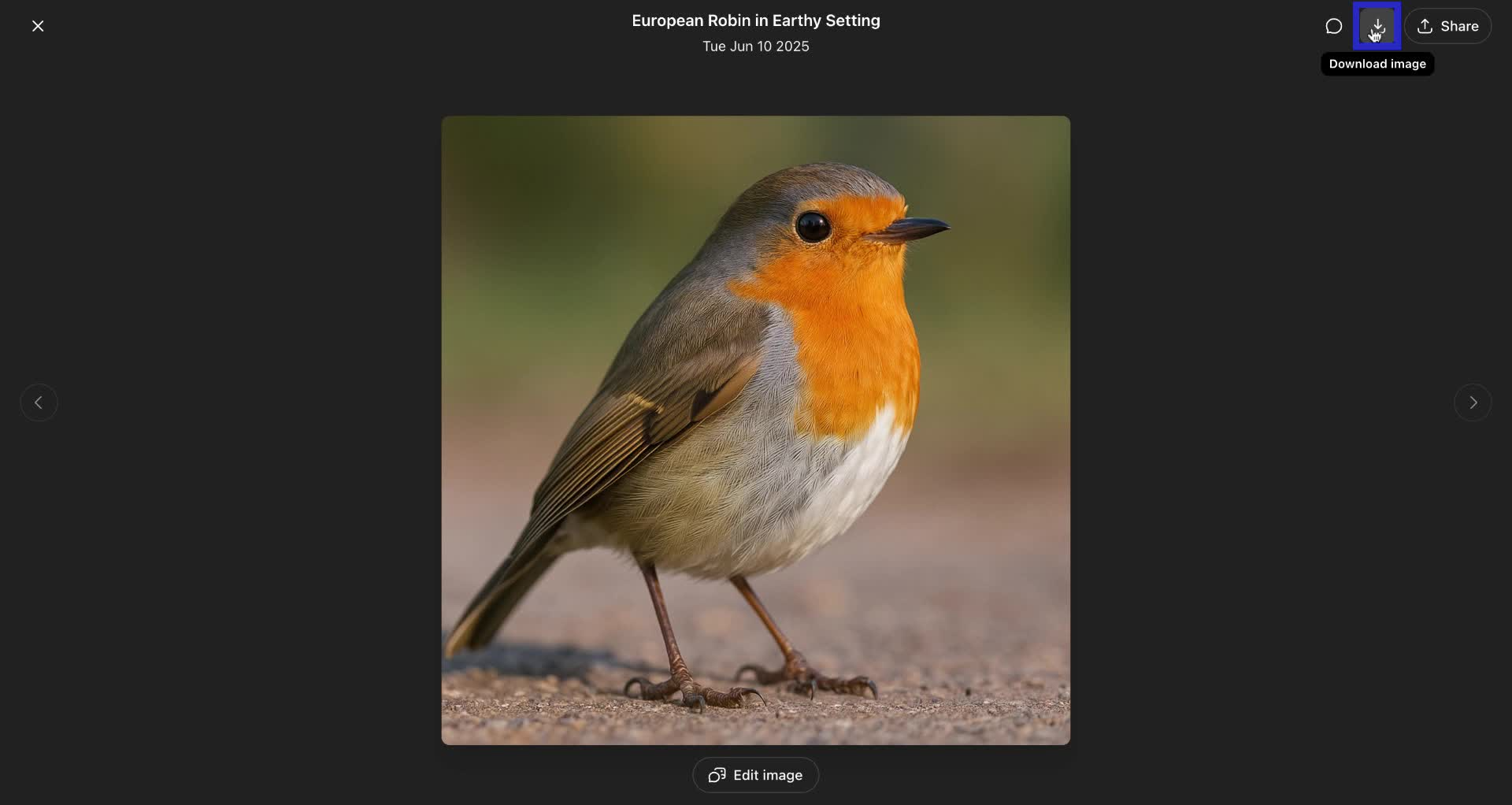 Screenshot of how to download images from ChatGPT step 3