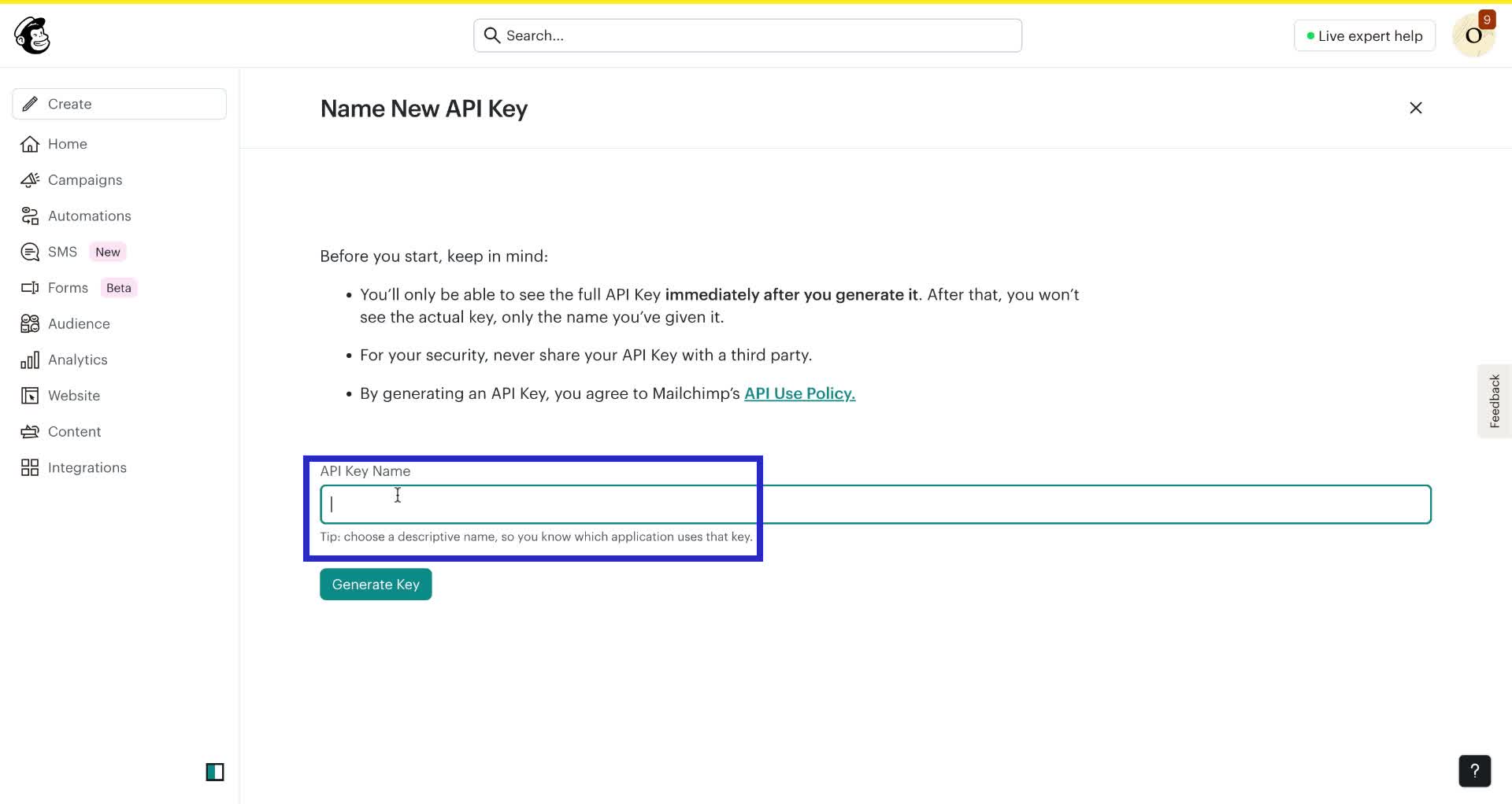 Screenshot of how to get Mailchimp API key step 6